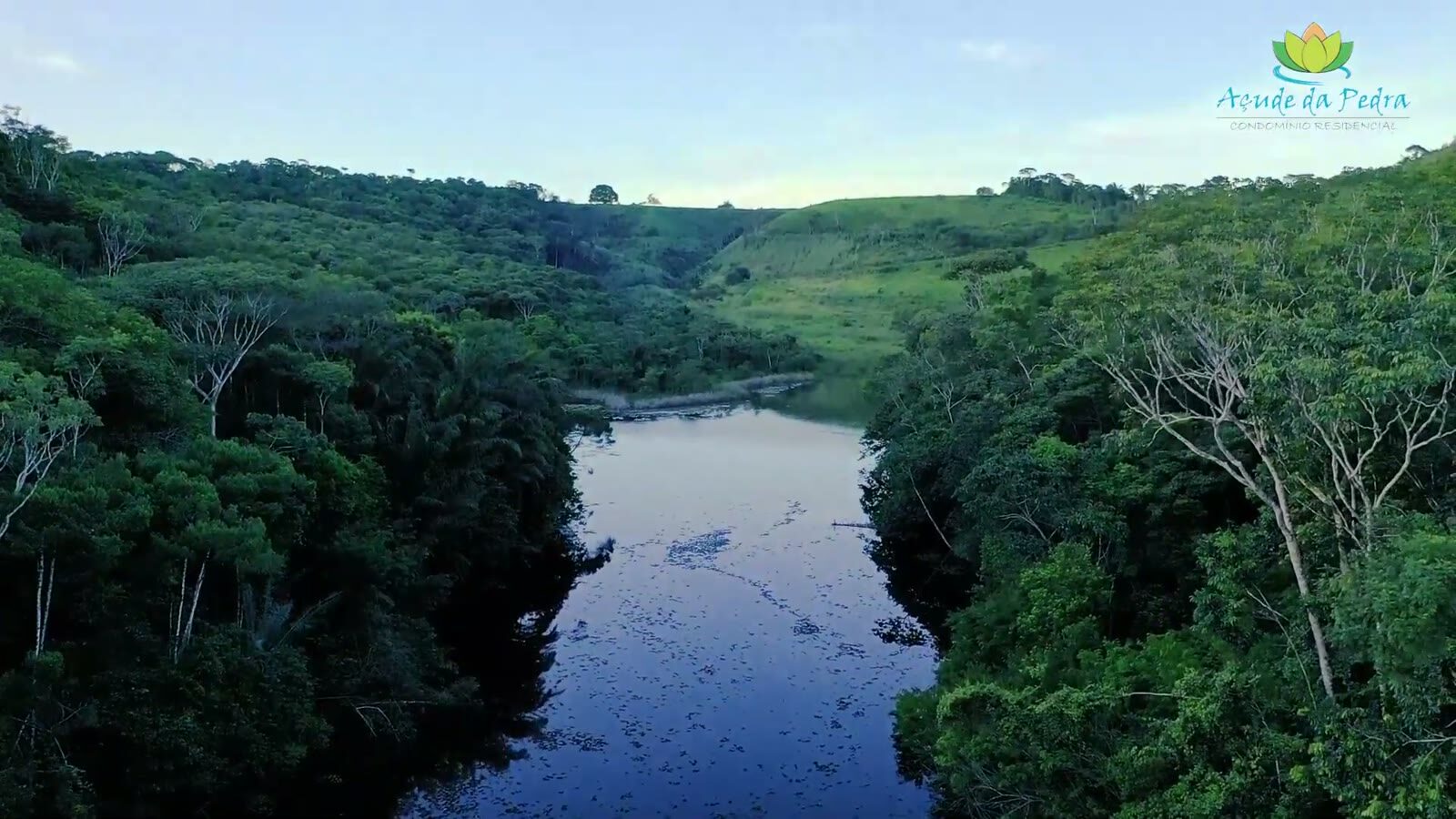 Açude cercado de mata